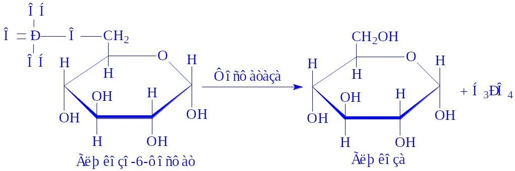Глюкоза в воде образует. Глюкоза в глюкозо 6 фосфат. Глюкозо 6 фосфат формула. Глюкоза в глюкозо 1 фосфат. Глюкозо 6 фосфат фосфатаза.