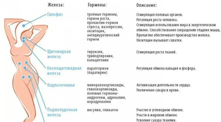Как понять что у девушки гормональный сбой. Нарушение гормонов у женщин. сбой гормонов у женщин симптомы. проявления гормонального сбоя. проявление гормонального сбоя у женщин.