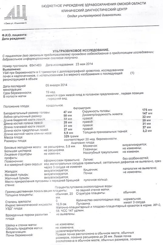 УЗИ протокол 18 недель беременности. УЗИ плода на 19 неделе беременности норма. УЗИ на 19 неделе беременности скрининг. УЗИ 20 недель беременности протокол. 19 недель беременности размер плода