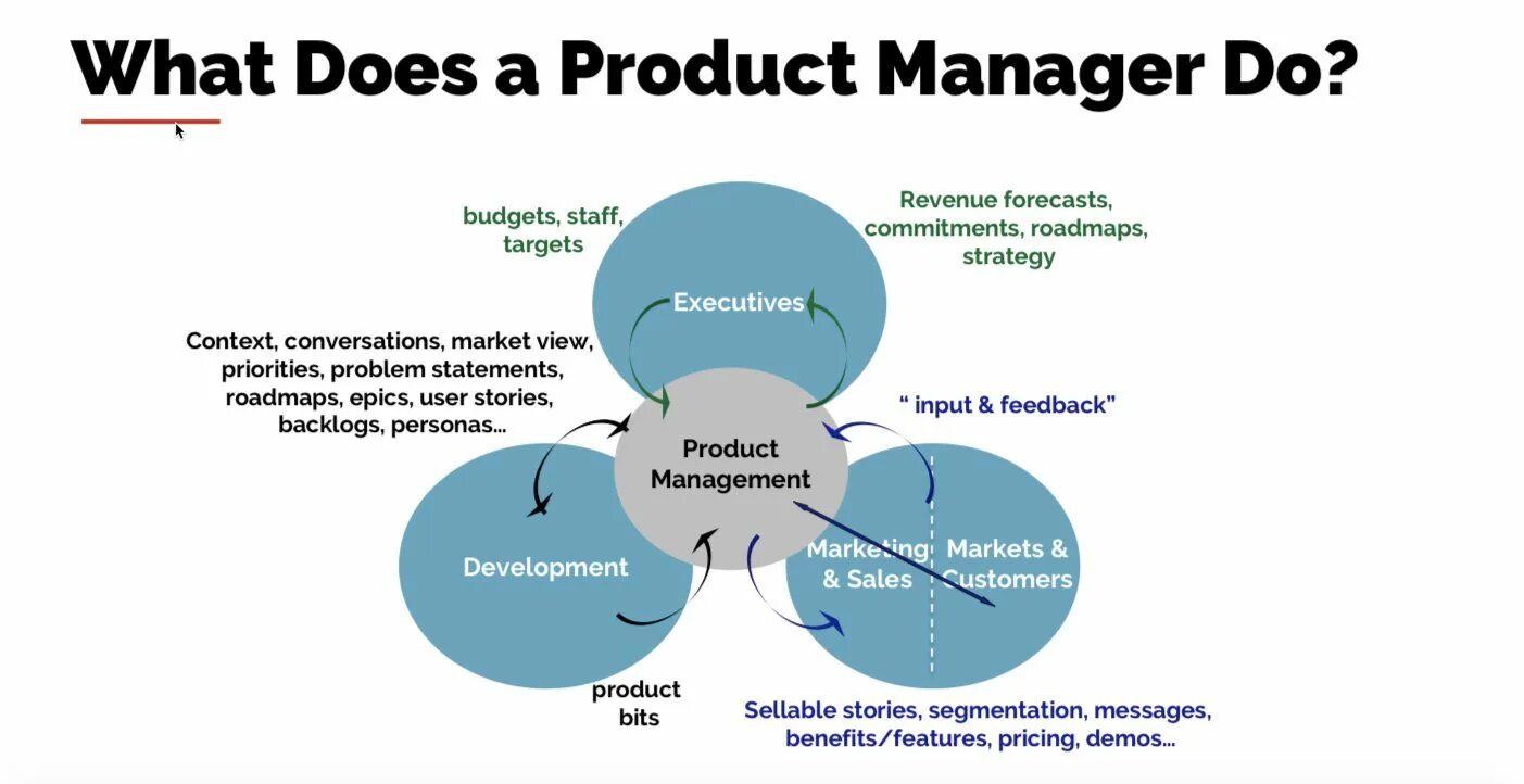 Who are project manager