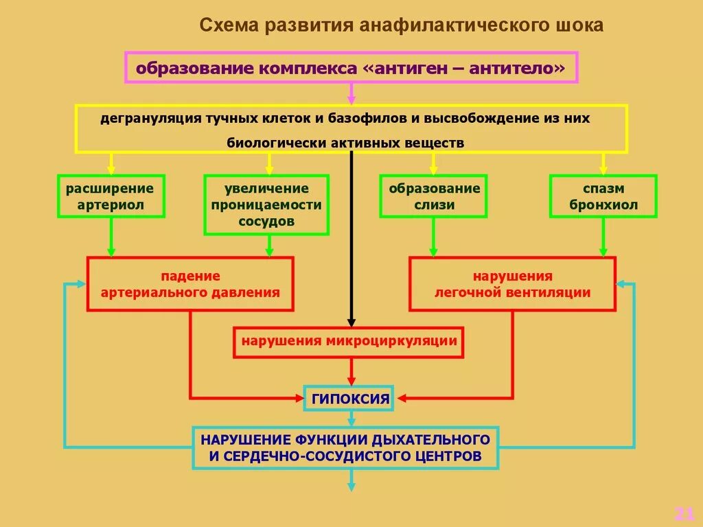 Патогенез анафилактического шока схема. Механизм развития анафилактического шока. Анафилактический ШОК механизм развития схема. Механизм развития анафилактического шока патофизиология. Анафилактический шок патогенез