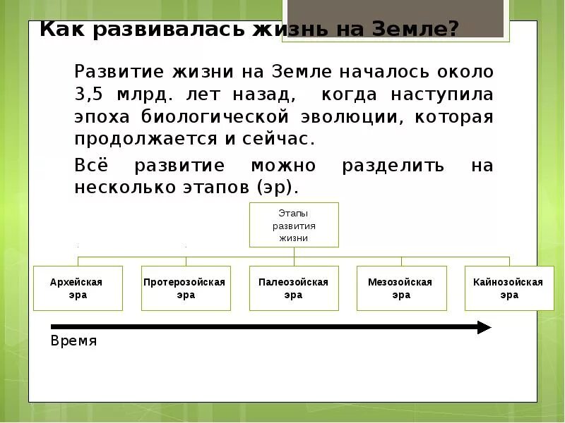 В ту же землю краткое содержание