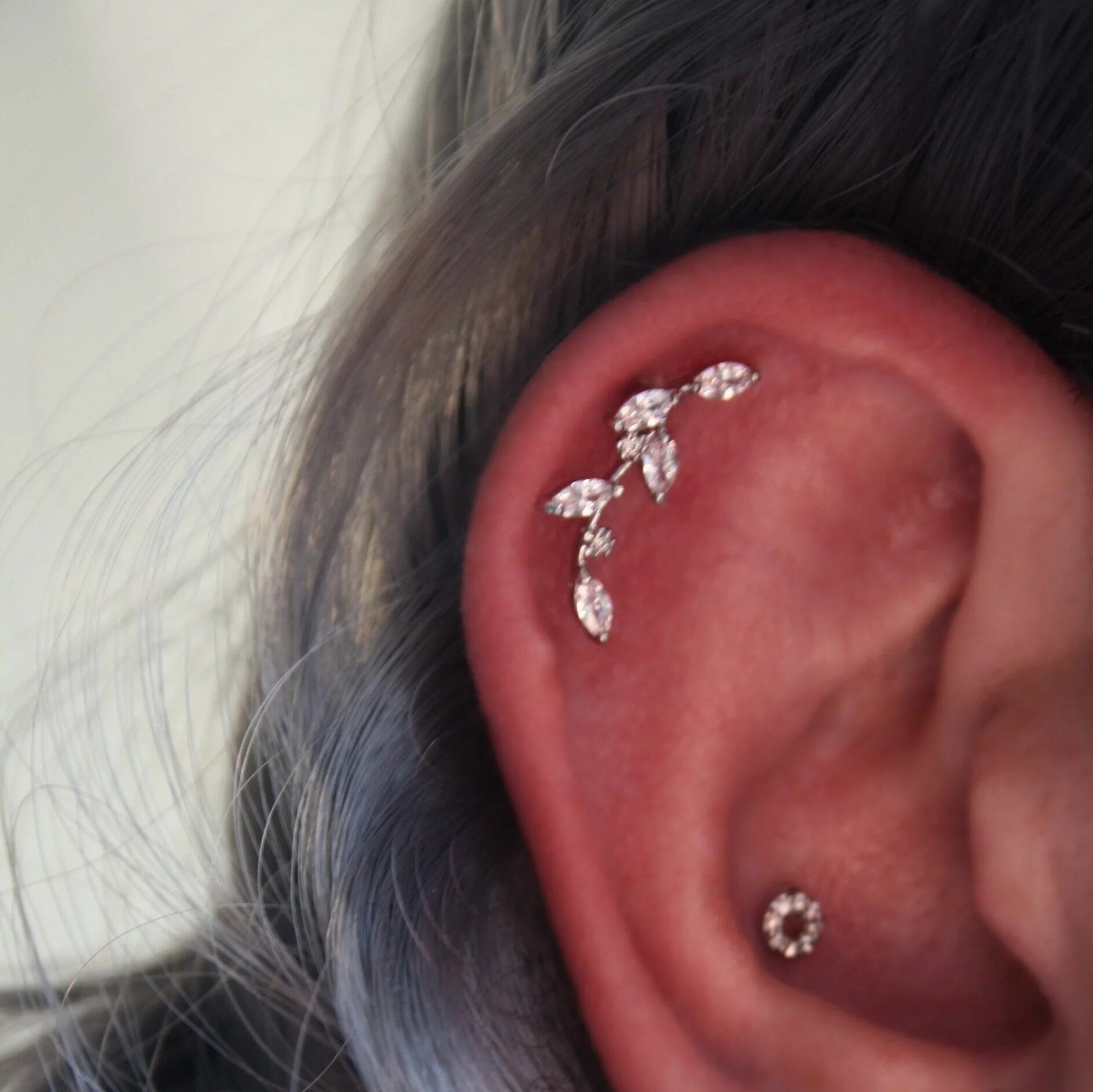 A Complete Guide to Tragus Piercings Multiple ear piercings, Ear trends, Ear pie