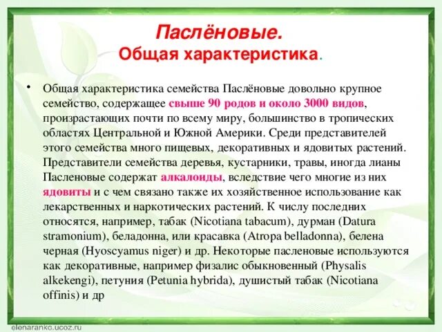 Описание семейства Пасленовые. Характеристика семейства Пасленовые 6 класс. Характеристика семейства Пасленовые 6 класс таблица. Семейство Пасленовые общая характеристика.