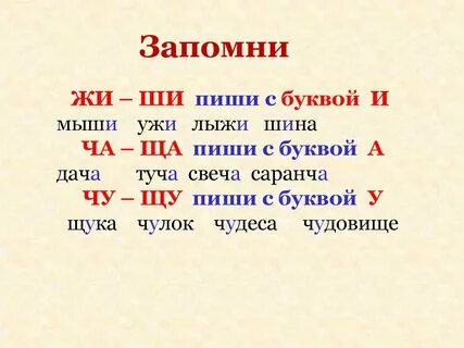 Жи ши исключения