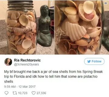 Ракушка пикабу