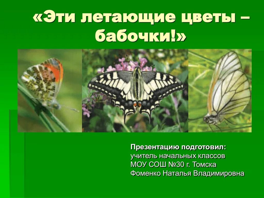 Почему бабочка летает. Презентация на тему бабочки. Бабочки для презентации для детей. Презентация про бабочек 3 класс. Презентация про бабочек для школьников.