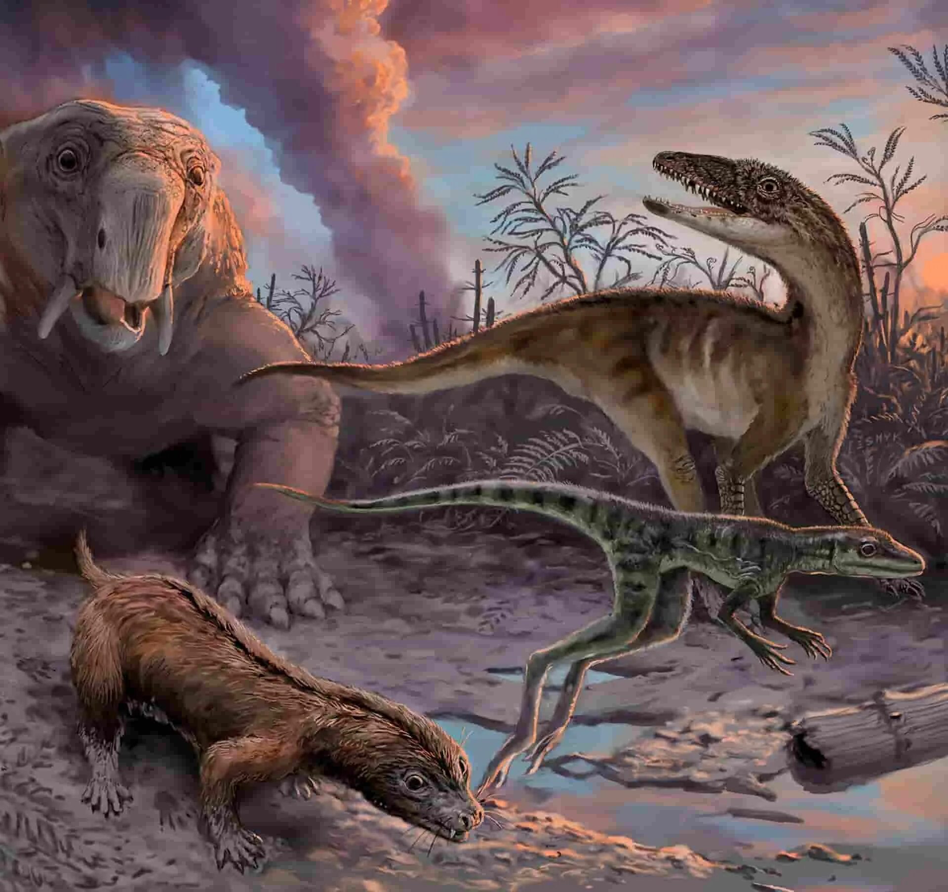 Эпоха динозавров года. Мезозойская Эра вымирание динозавров. Предки динозавров. Динозавры вымерли. Первые динозавры.