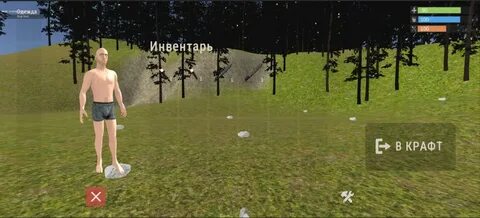 Zeed survival
