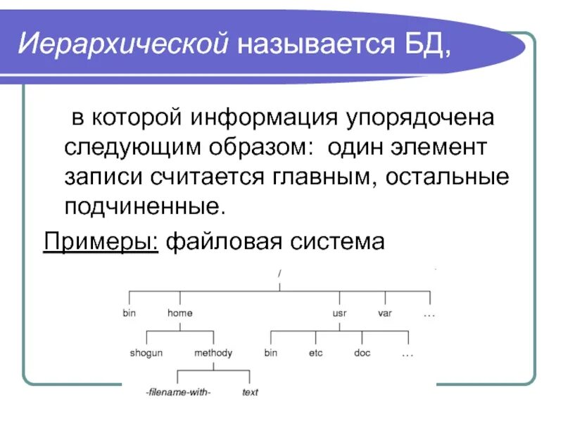 В иерархической базе данных элементы упорядочены. Иерархические названия. Иерархическая система примеры. Пример иерархической базы данных. Информация упорядоченная в формате