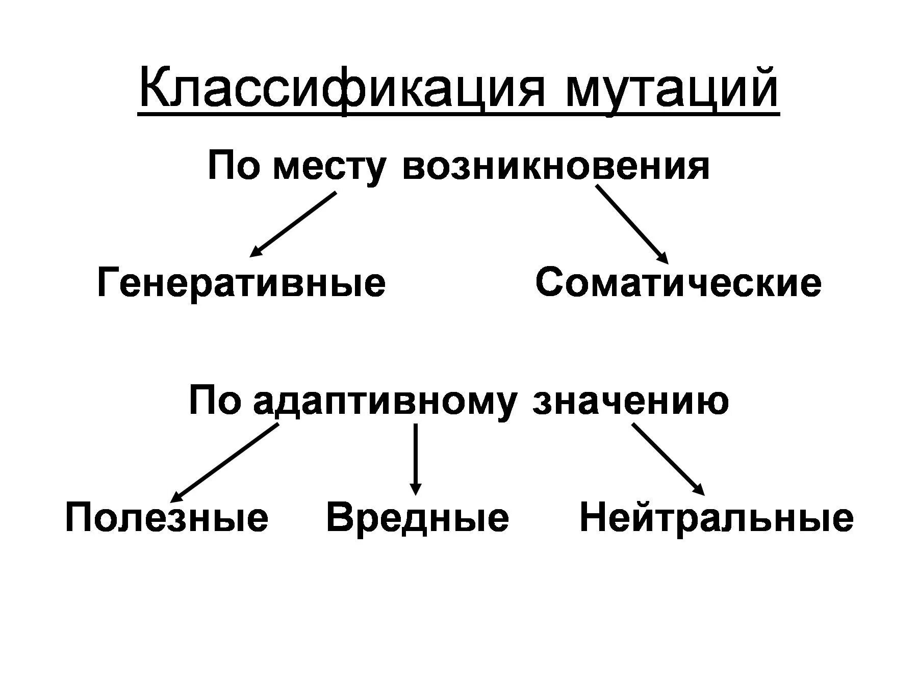 Мутации по генотипу. Классификация мутаций таблица. Мутации классификация мутаций. Классификация мутационной изменчивости. Классификация мутаций схема.