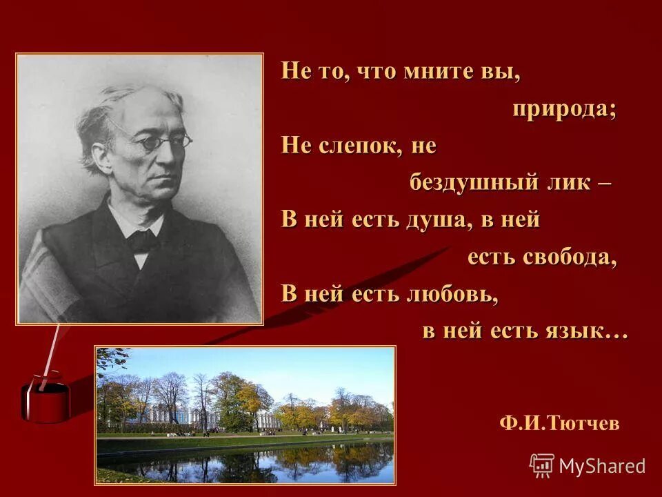 Анализ стиха о природе