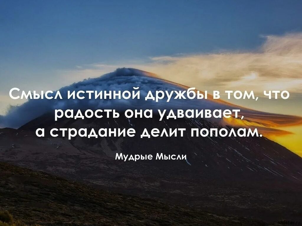 Как назвать умные слова. Цитаты про дружбу. Цитаты про друзей. Высказывания о дружбе. О друзьях высказывания Мудрые.