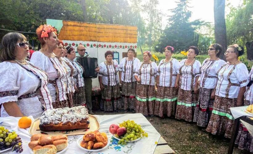 Станица сергиевская краснодарский край. Сергиевская Кореновский район. Природа станицы Сергиевской Кореновского района. Идеи празднования дня станицы.