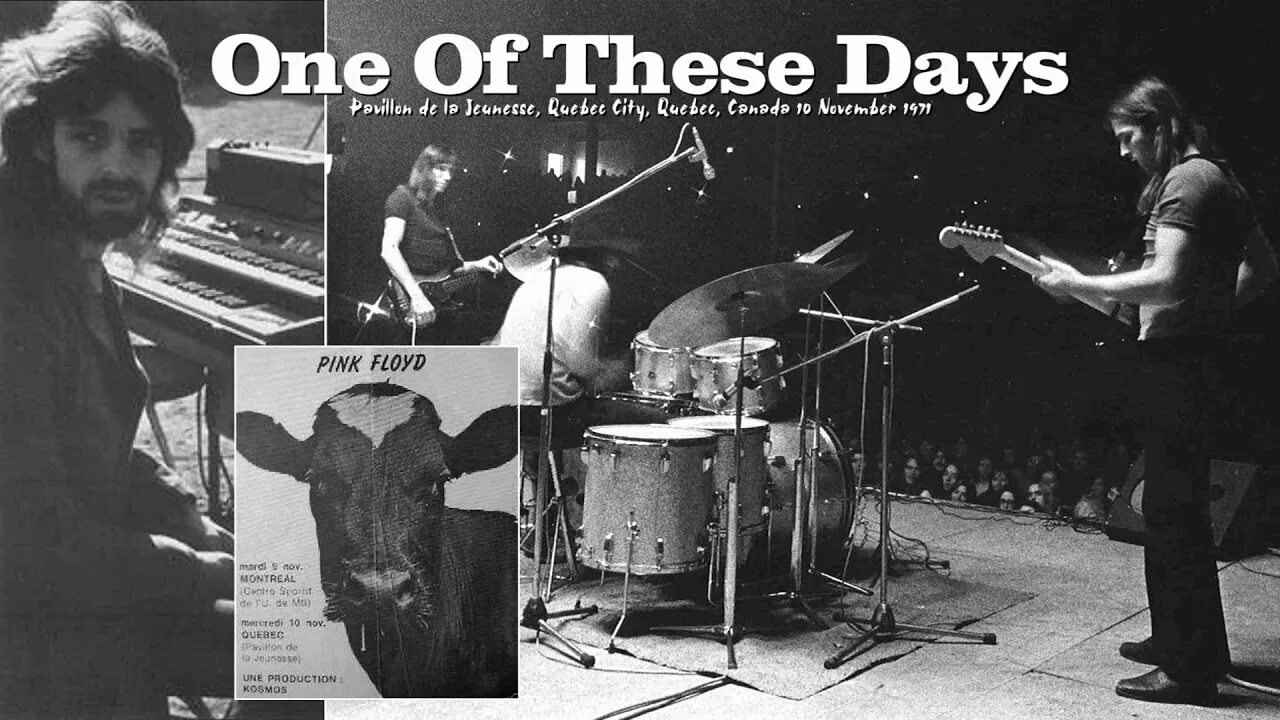 One of these days. One of these days i will be organized. One of these days. One of these days (pink floyd song). One of these days.