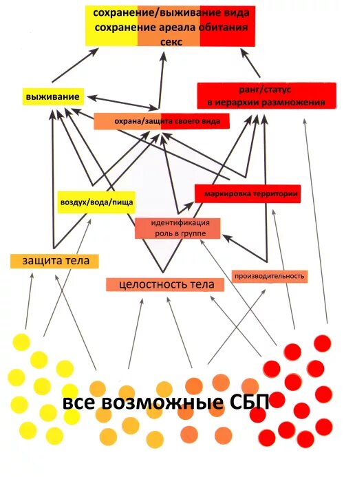 Иерархия самцов. Высокоранговая самка. Иерархическая пирамида животных. Иерархия доминирования у животных. Иерархия доминирования альфа бета омега.