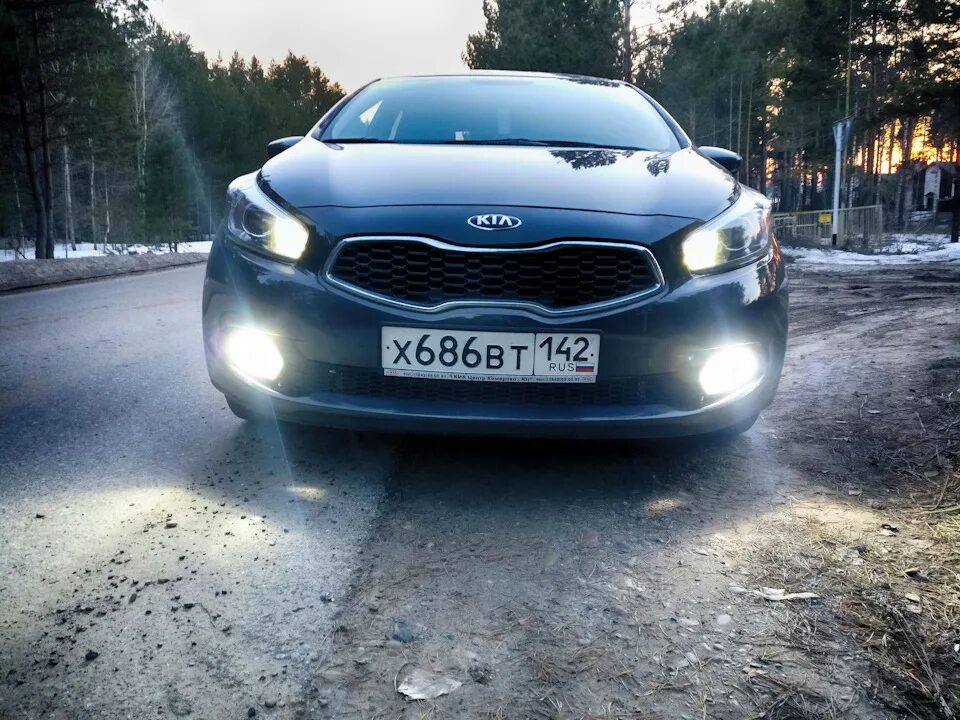 Дхо ceed. Киа СИД 2020 ДХО свет. ПТФ Kia Ceed 1 свет. Kia Ceed 209 Ближний свет. Фара Ceed 2013.