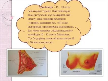 Темекі шегушілерге арналған порнофильмдер