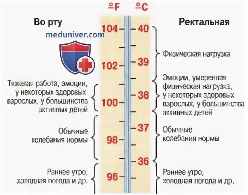 Температура тела после физических нагрузок. Нормальная температура человека. Норма температуры у человека. Максимальная температура человека. Температура здорового человека.