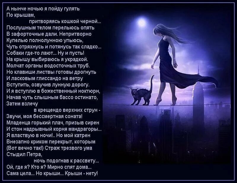 Может погуляем ночью хочешь сделай