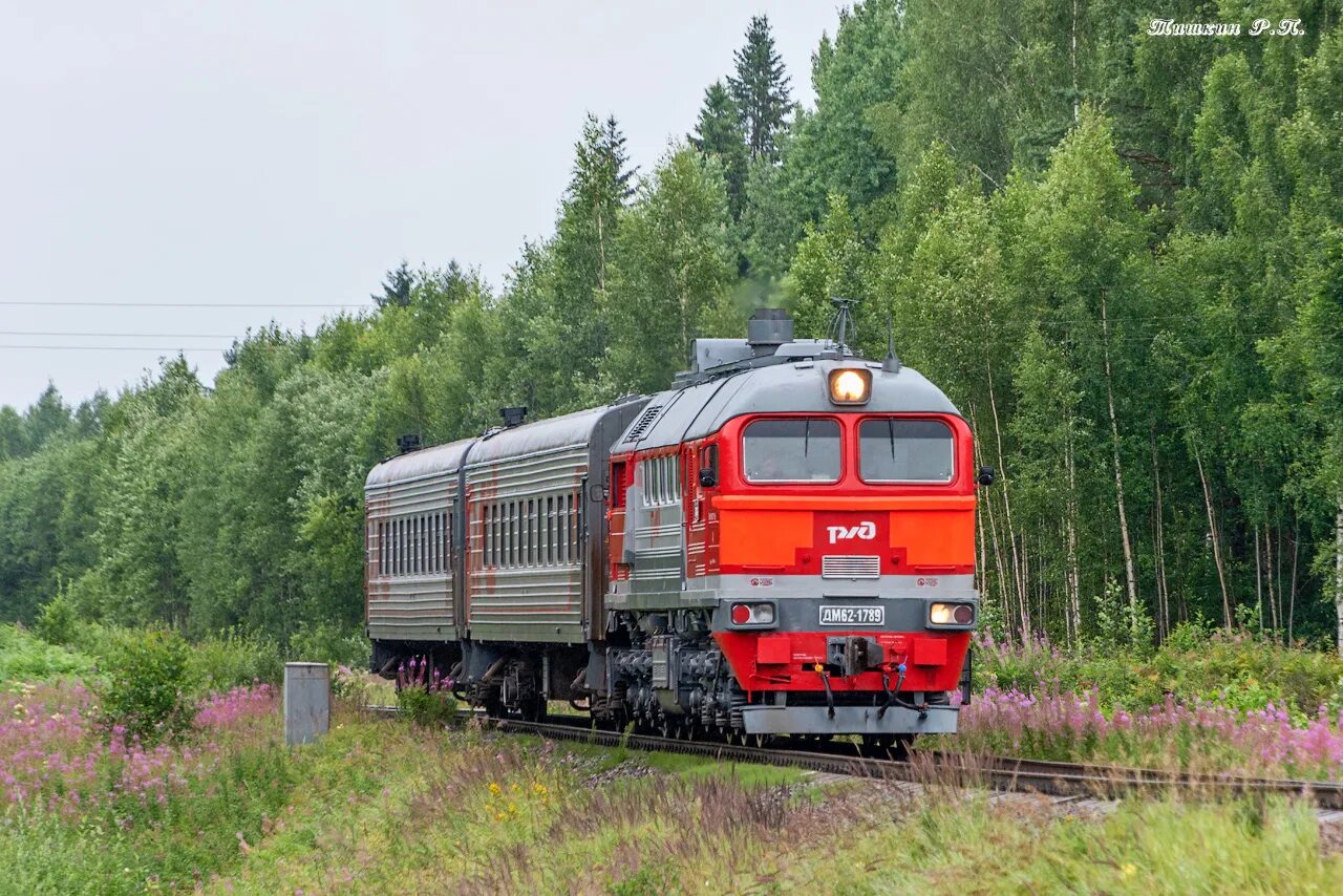 Поезд хвойная. Дм62 1834. Тепловоз дм62. Октябрьская железная дорога дм62. Дм62 1742.