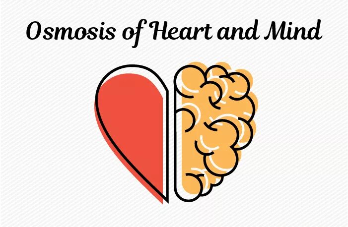 Mind and Heart. Heart Mind перевод. Heart and Mind blockages. Heart Mind picture. Heart over mind перевод на русский