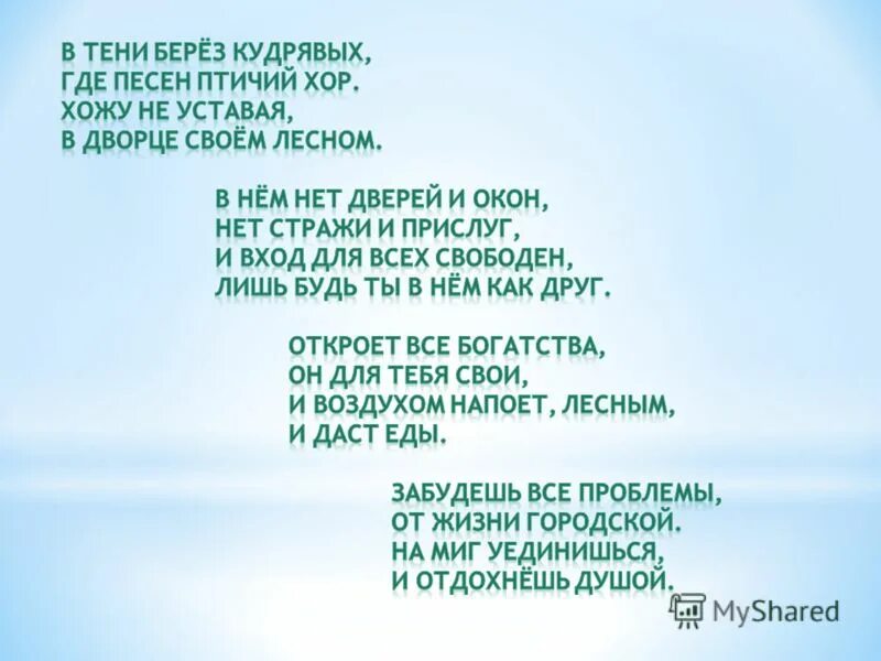 Птичий хор слова. Ой береза кудрявая. Птичий хор песня. Песня птичий хор слова. Песня кудряшки текст