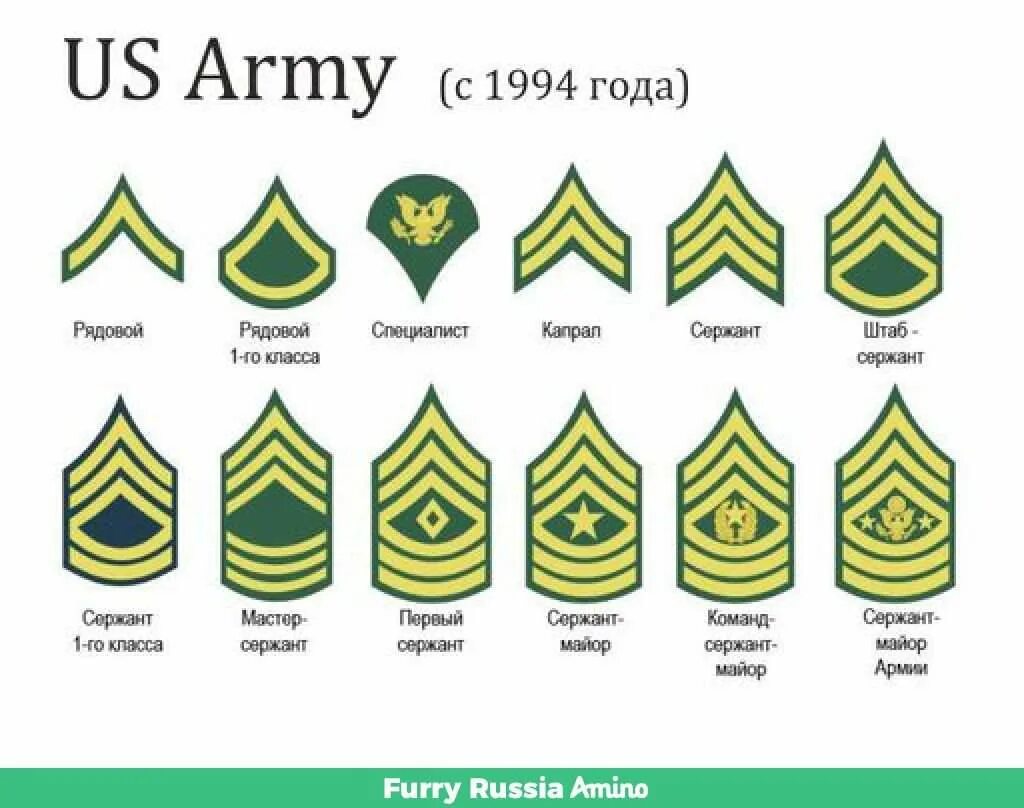 Погоны знаки различия военнослужащих армии рф. Ранг формы. Система званий. Ранг формы. Солдаты и матросы могут иметь следующие воинские звания:.