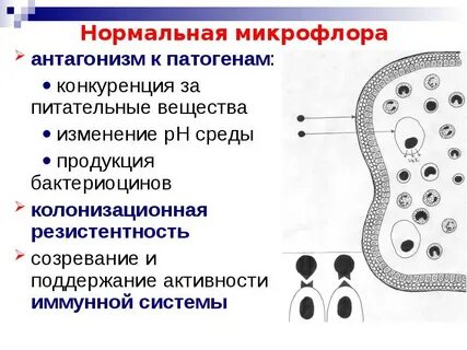 Распознают патогены