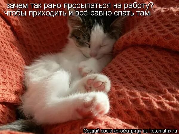 Зачем я сегодня проснулся. Так рано спать. проснулся на работе. что так рано проснулась. зачем так рано вставать.