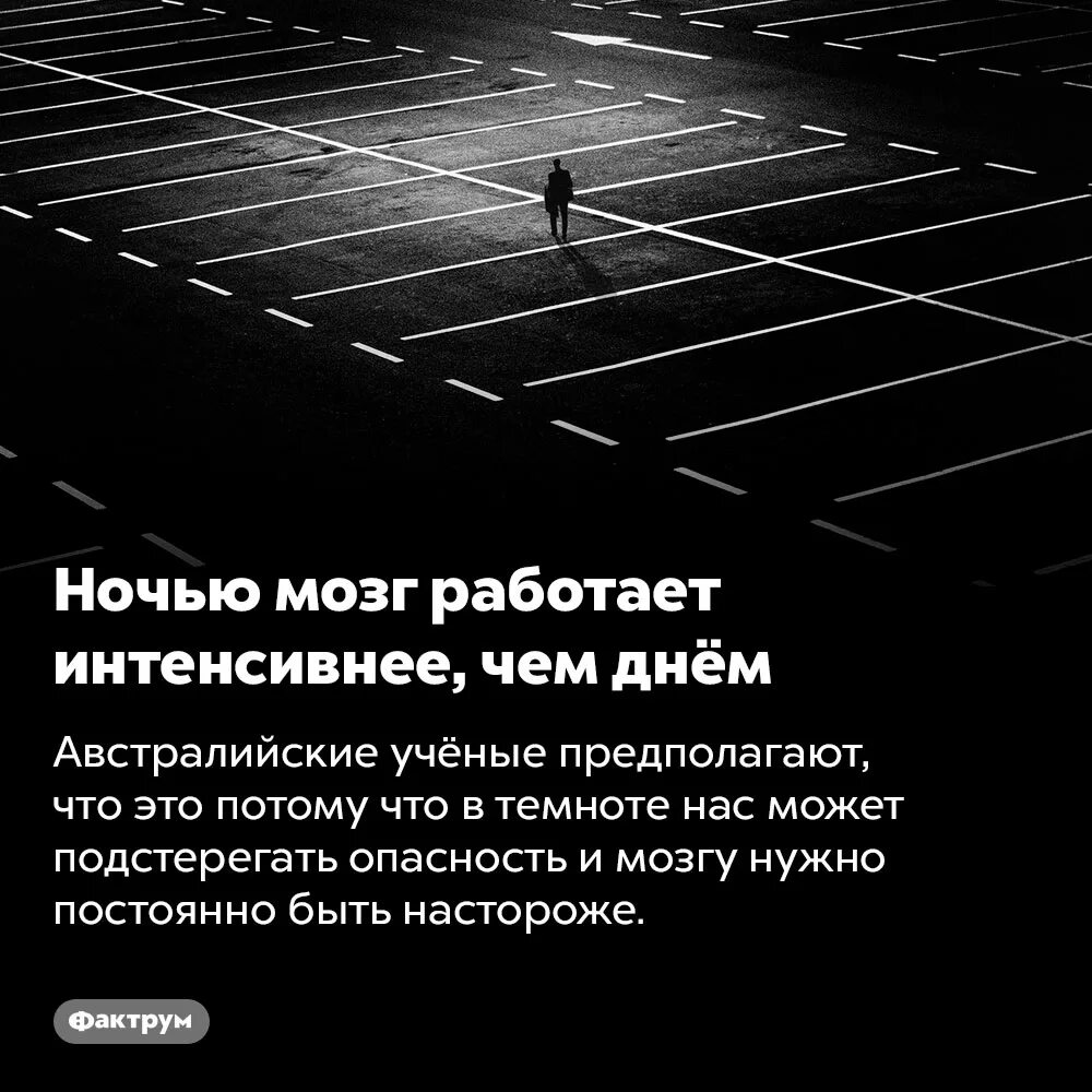 Ночью мозг работает лучше чем днем. Мозг ночью. Можга ночью. Афоризмы ночью мозг.