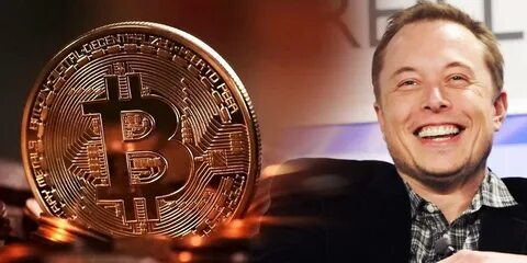 Musk meme криптовалюта