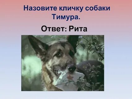 Как звали пса