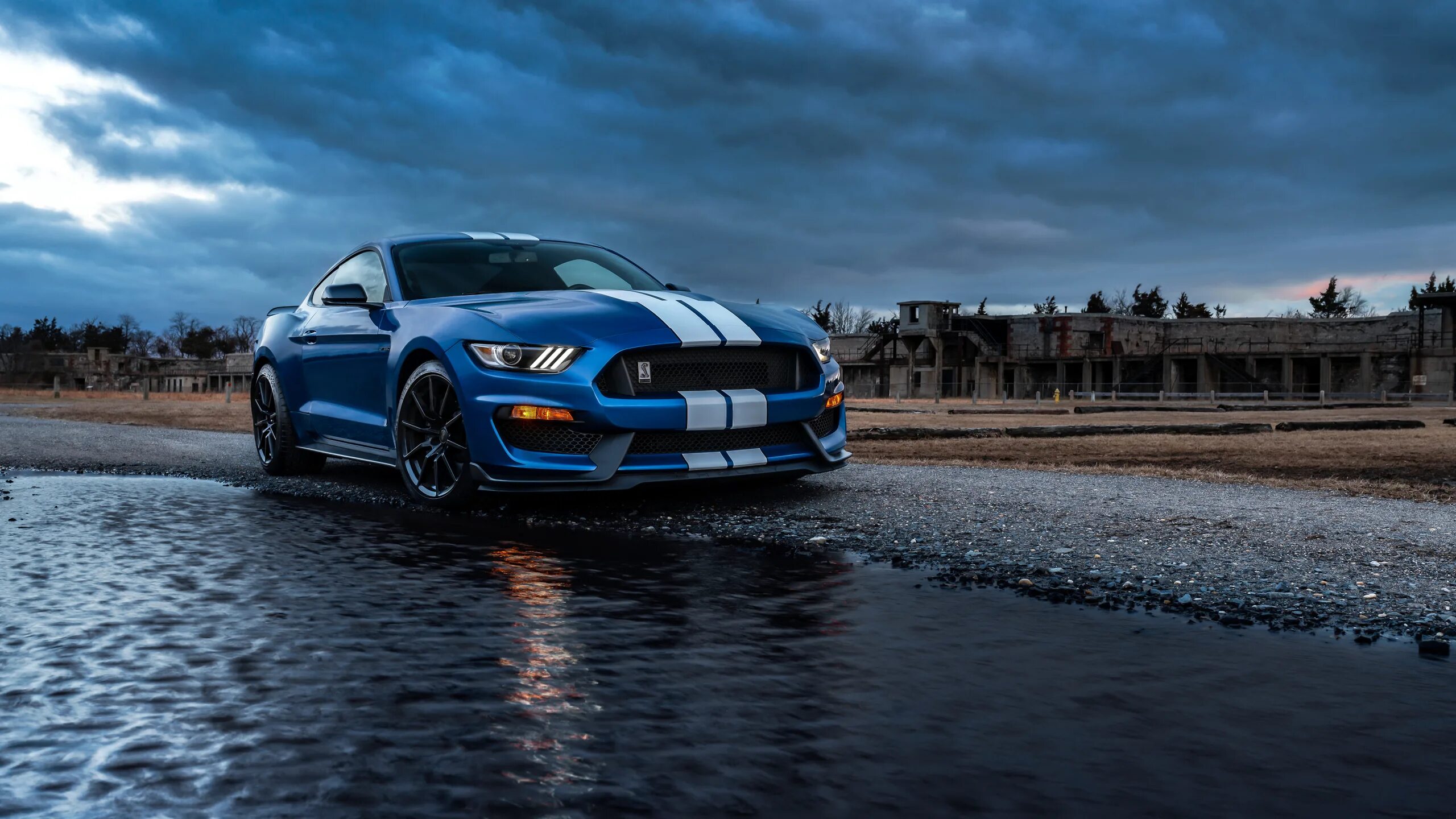Mustang wallpaper. Ford mustang gt4. Ford mustang shelby gt500 2022. Форд мустанг 2013. Mustang wallpaper.