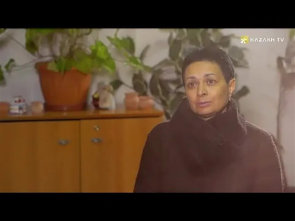 Директор ковчег. Директор ковчег