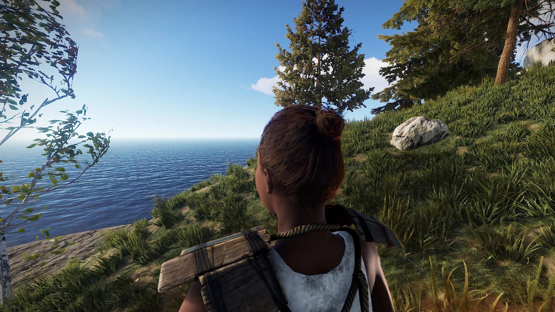 Rust 4 real. Раст. раст лето. раст 2013. игровой движок rust.