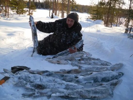 рыбалка в архангельске форум. санататур на севере. рыбалка в архангельске. рыбалка в архангельске форум. сухое море.