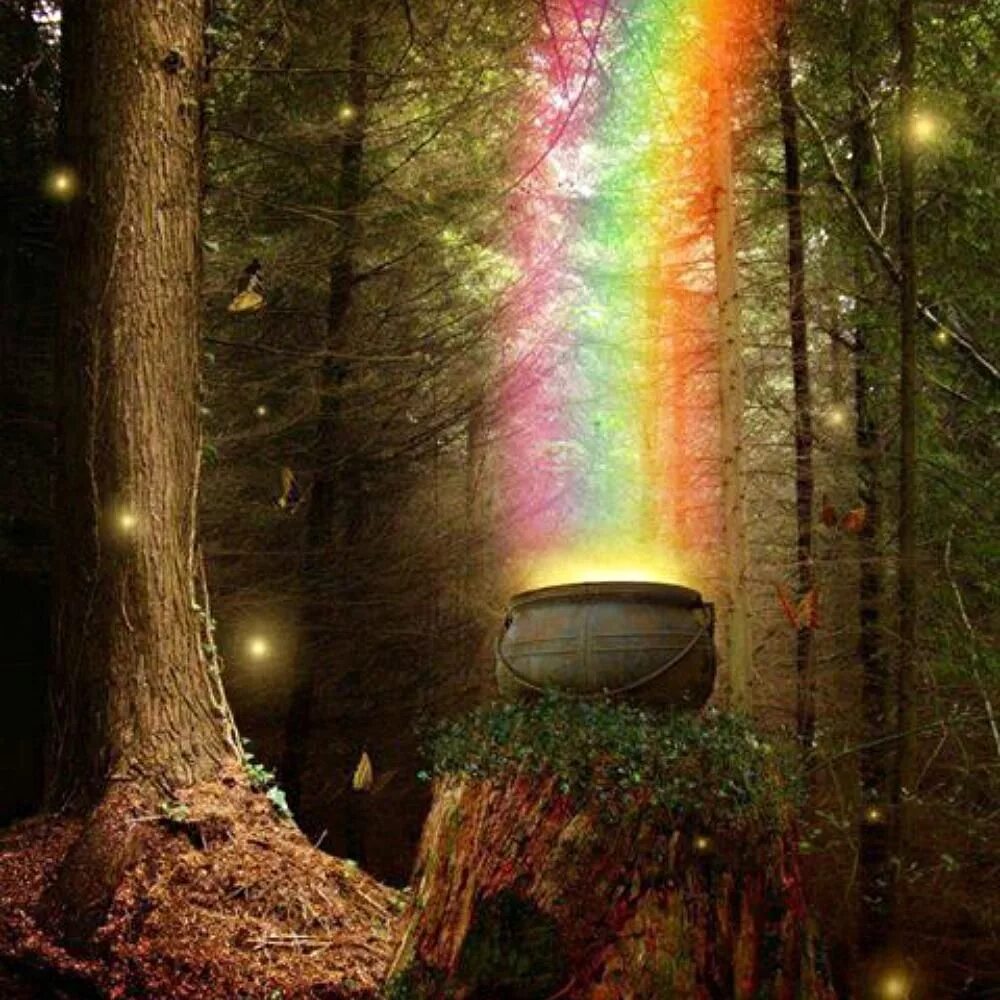 Чудо лес. Магия природы. Чудо волшебство. Радуга в лесу.