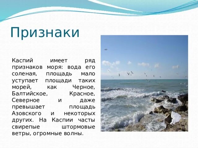 Каспийское море море. Каспийское море описание. Проект черное море. Азовское и Каспийское море. Какое море полезное