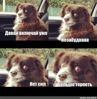 Ну давай сейчас включу