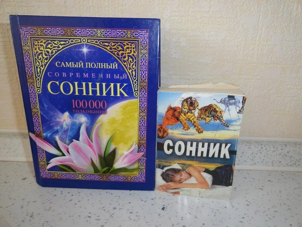 Сонник книга. Сонник книжка. Книжка про Соника. Сонник лучший.