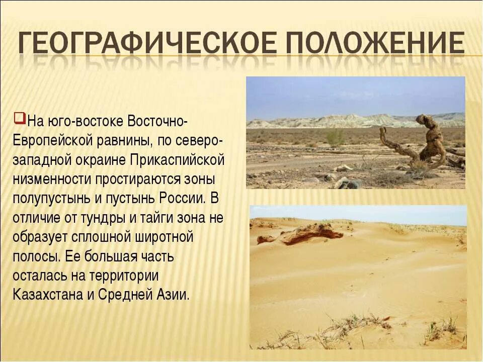 Географ положение пустыни. Географическое положение зоны полупустыни в россии. Положение пустынь и полупустынь в евразии. Пустыни и полупустыни россии географическое положение на карте. Географ положение пустыни.