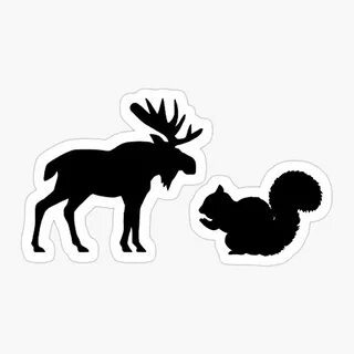 Белка и лось в лесу