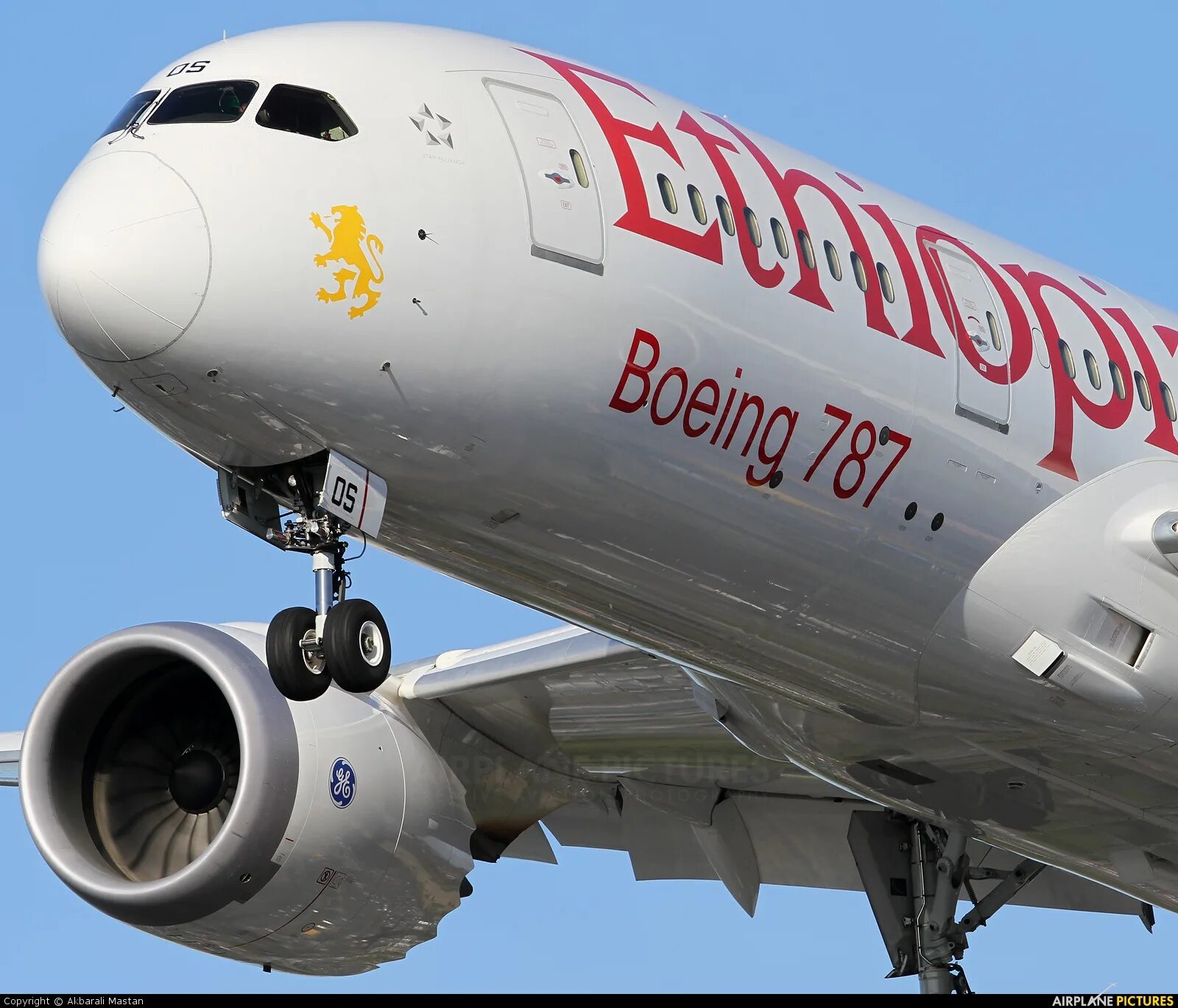 Боинг 787 8 эфиопские авиалинии. Ethiopian Airlines 787 Dreamliner. Ethiopian Airlines Boing 787. Boeing 787 ethiopian airlines