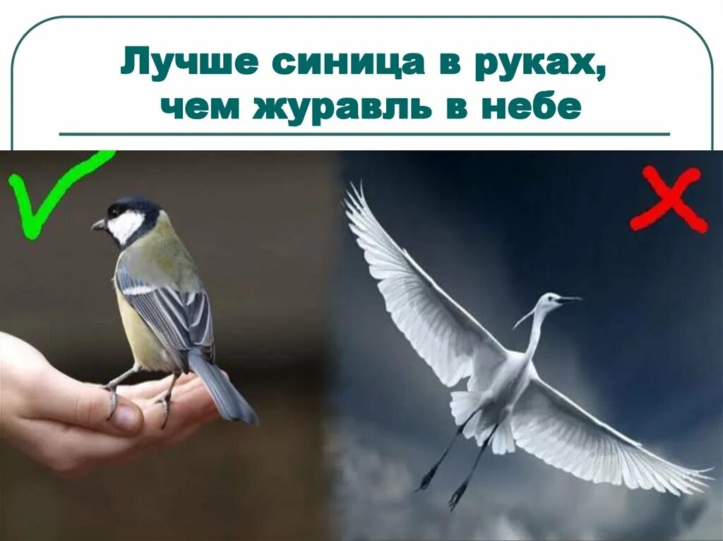 Выражение лучше синица. Лучше сницу в руках чем журавль в небе. синица в руках журавль в небе. лучше синица в руках. пословица лучше синица в руках чем журавль в небе.