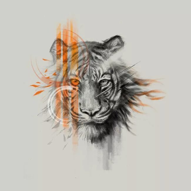 Охота на тигра книги. Рисунки тигров самых красивых художников. Шопперт красавчик читать