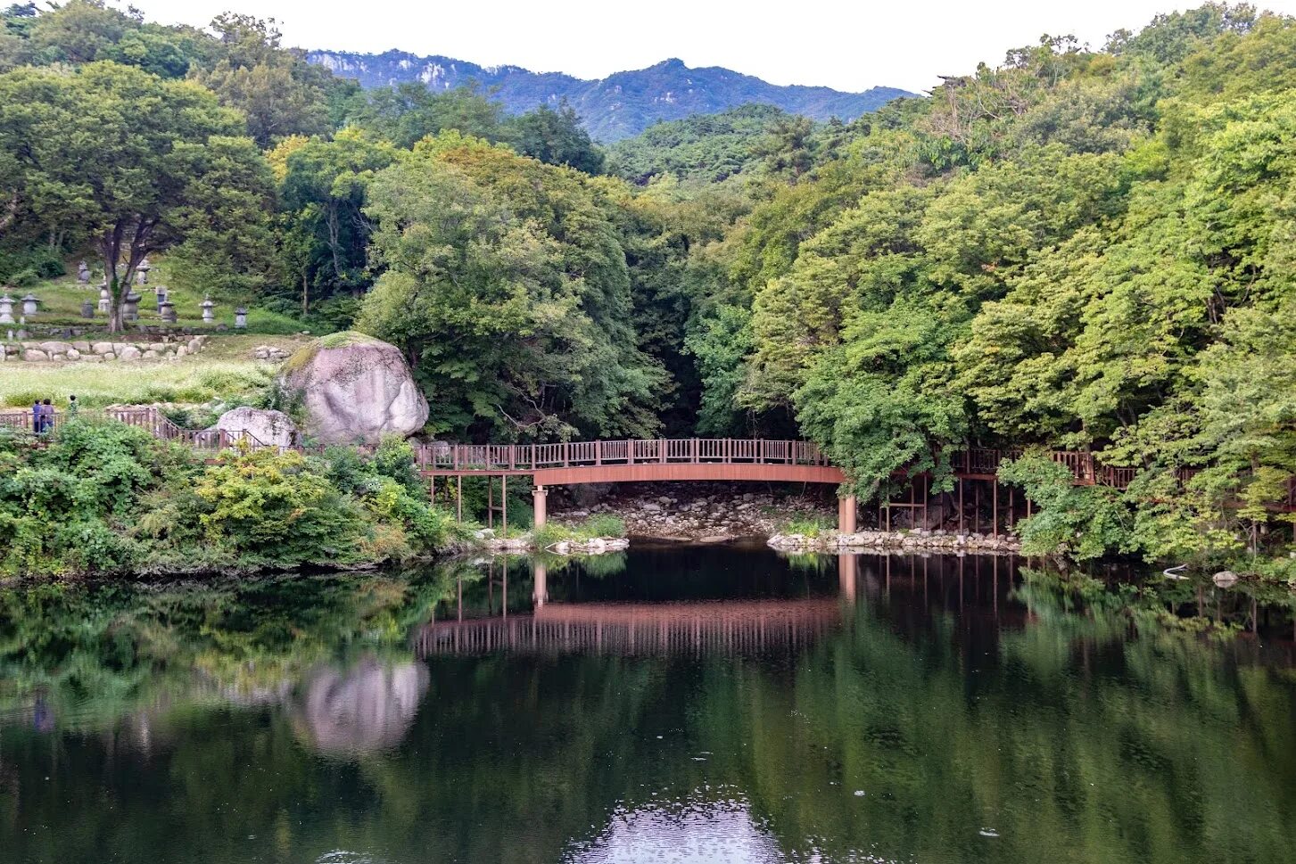 Тэгу. Тэгу Южная Корея. Тэгу Южная Корея природа. Daegu Arboretum Южная Корея. Тэгу Южная Корея достопримечательности.