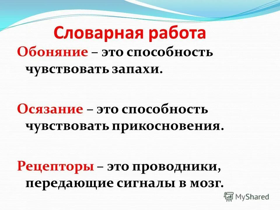 Как человек чувствует запахи. Чувство запаха. Способность видеть слышать чувствовать запахи. Сообщение о обоняние. Способность видеть слышать чувствовать запахи.
