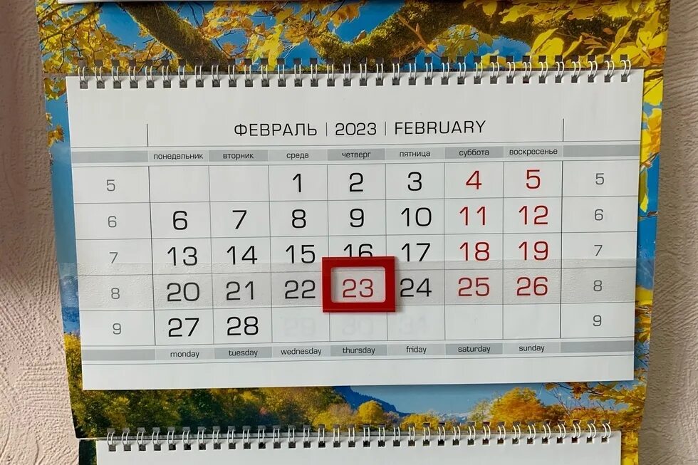 9 февраля 2023 года. Выходные в феврале. Календарь на февраль 2023 года. Выходные дни в феврале 2023 года. Календарь февраль 23 года 2023.