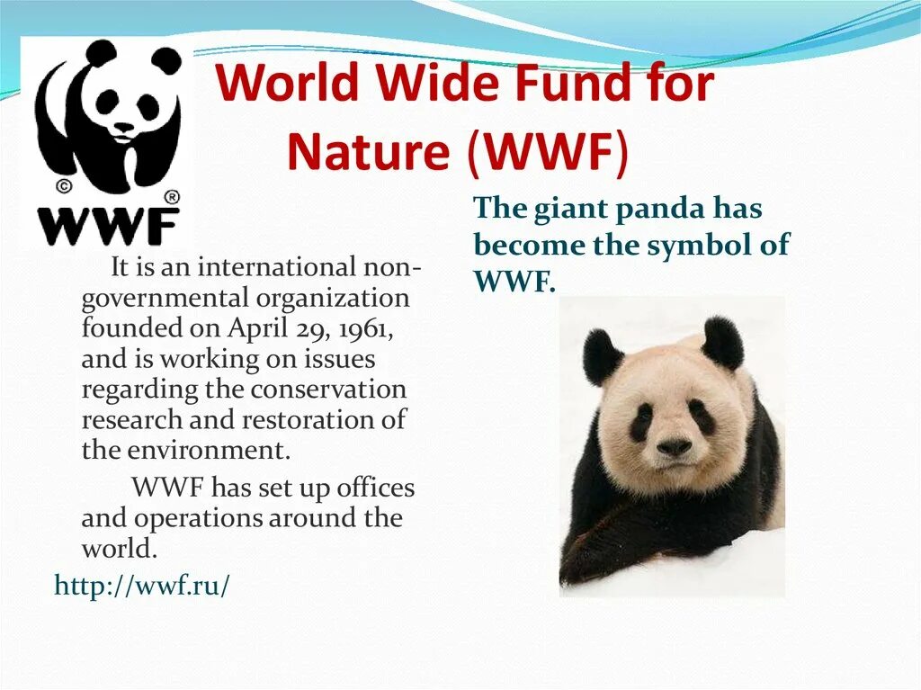 The world wildlife fund is an organization. Всемирный фонд дикой природы (WWF или World Wildlife Fund). The World wide Fund for nature (WWF). WWF презентация. Всемирный фонд природы " WWF на английском.